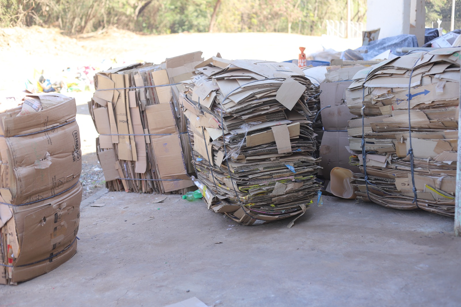 WhatsApp Image 2025-08-15 at 11.31.17.jpeg